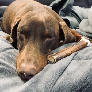 Meet your Posher, Kelli